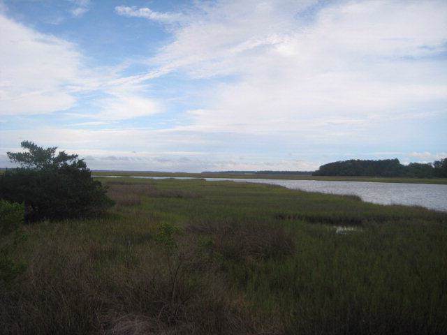 0 Dolphin Island - Photo 1