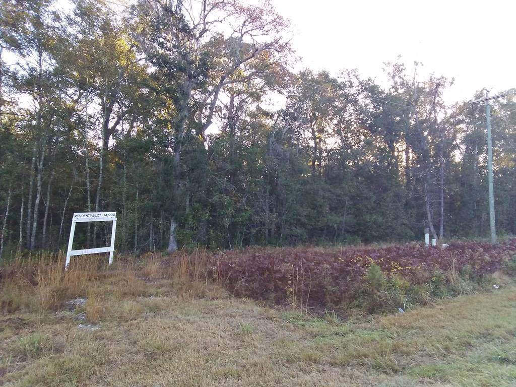 44 Us Hwy 17 - Photo 1