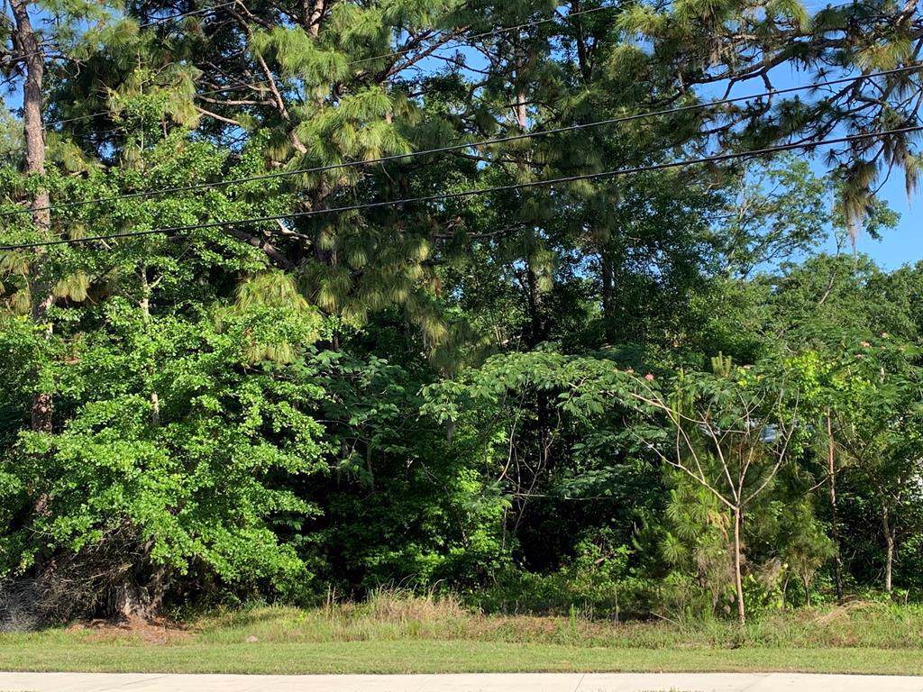 1393 Highway 196 West - Photo 1