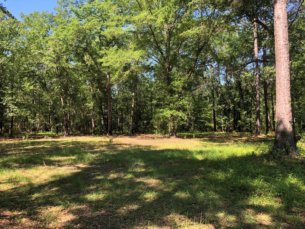339 Dogwood Acres Road - Photo 1 339 Dogwood Acres Road - Photo 1