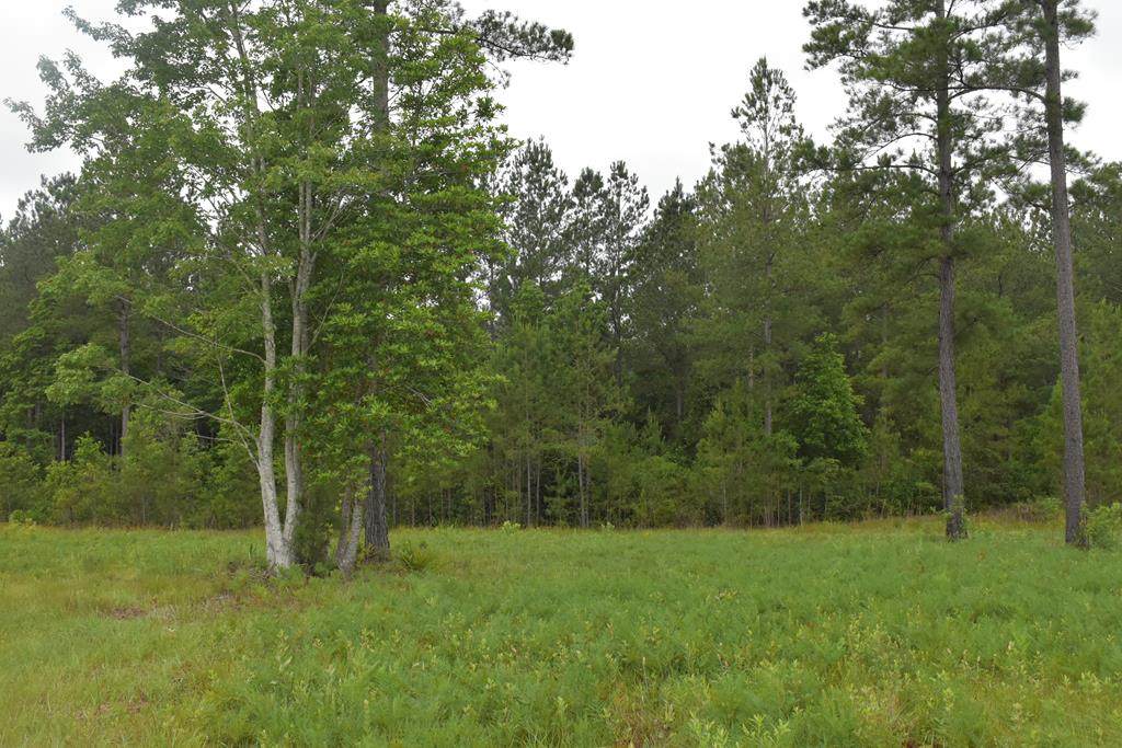 LOT 35 Cutters Gap Ne - Photo 1