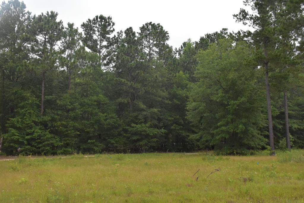 LOT 36 Cutters Gap Ne - Photo 1