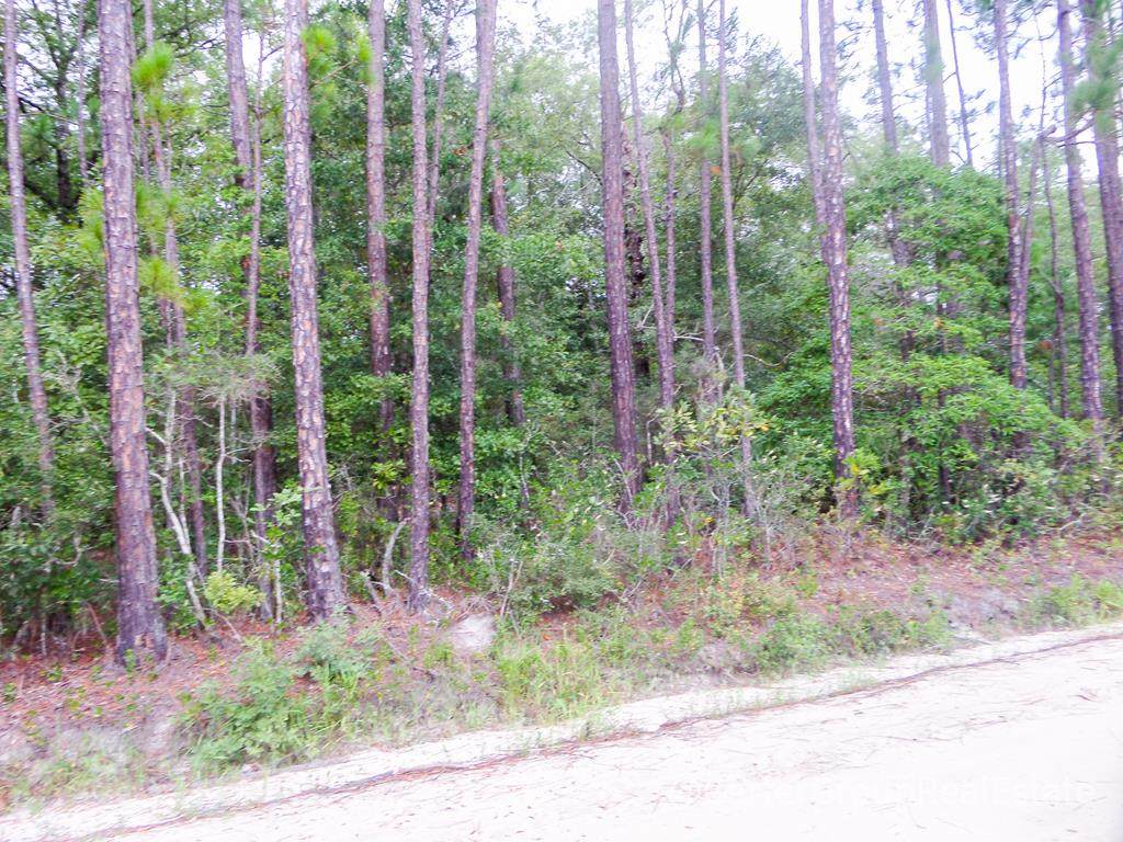 0 Rogers Break Road - Photo 1