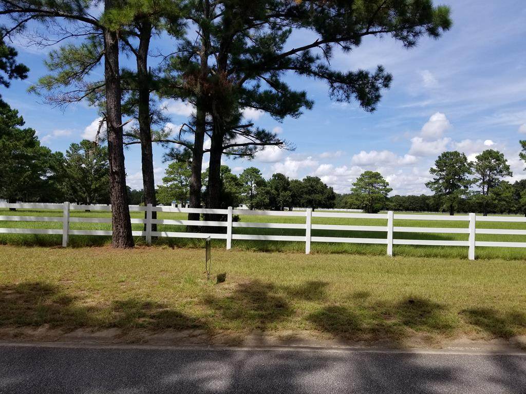 Lot 3 Lake Pamona Road - Photo 1
