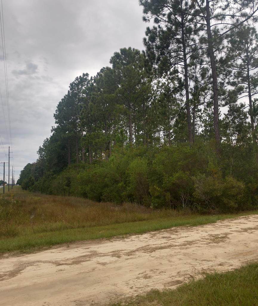 US Highway 84 - Photo 1