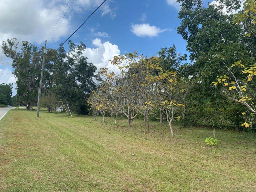 285 Lewis Road - Photo 1