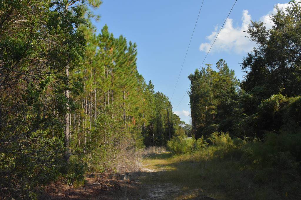45 AC Kevin Road - Photo 1
