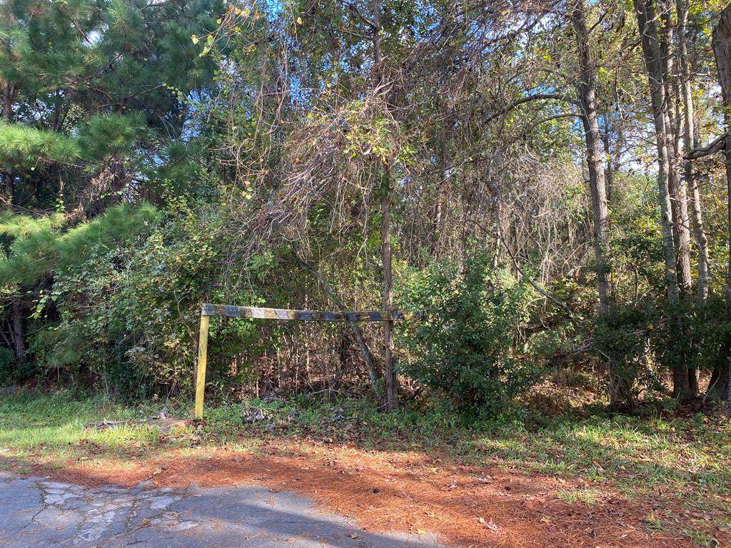 0 Copeland Drive - Photo 1