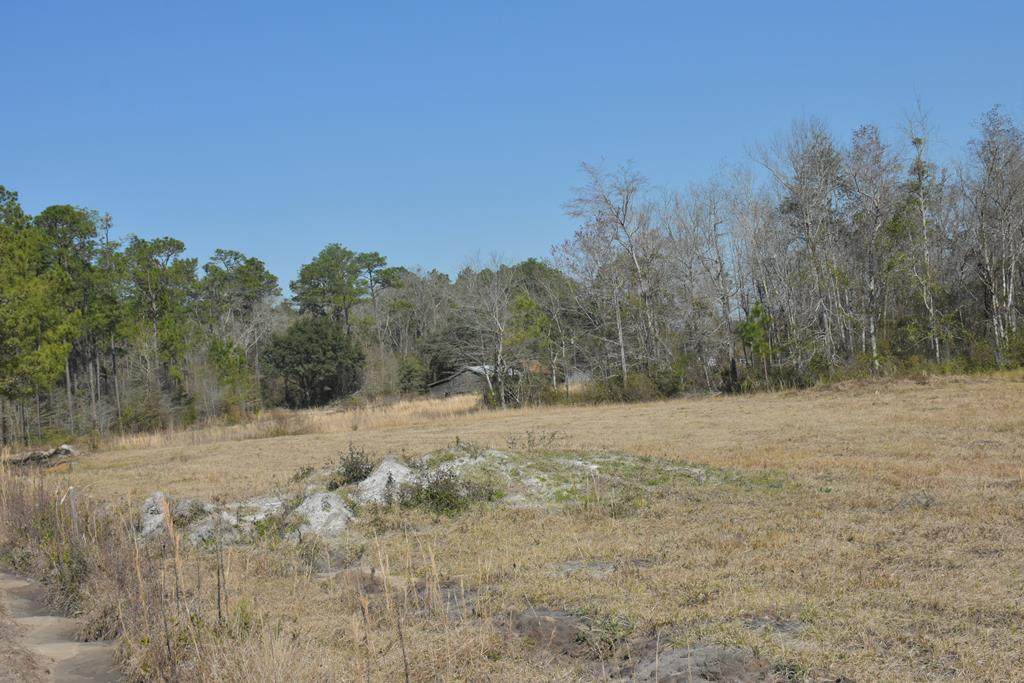 LOT 3 Rufus Davis Road Ne - Photo 1