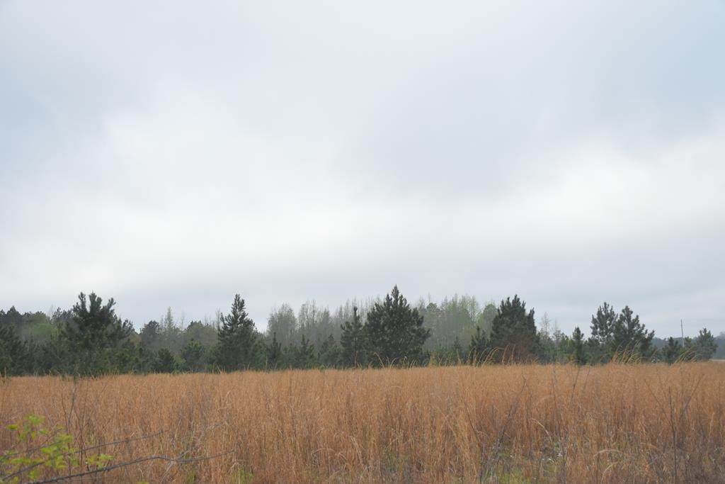 LOT 13 S. T. Morris Road - Photo 1