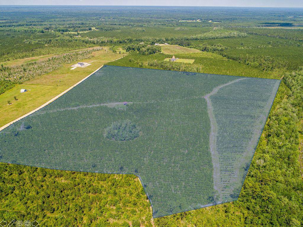 514 Henry Walcott Road - Photo 1