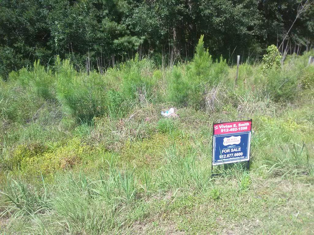 12 AC East Oglethorpe Highway - Photo 1