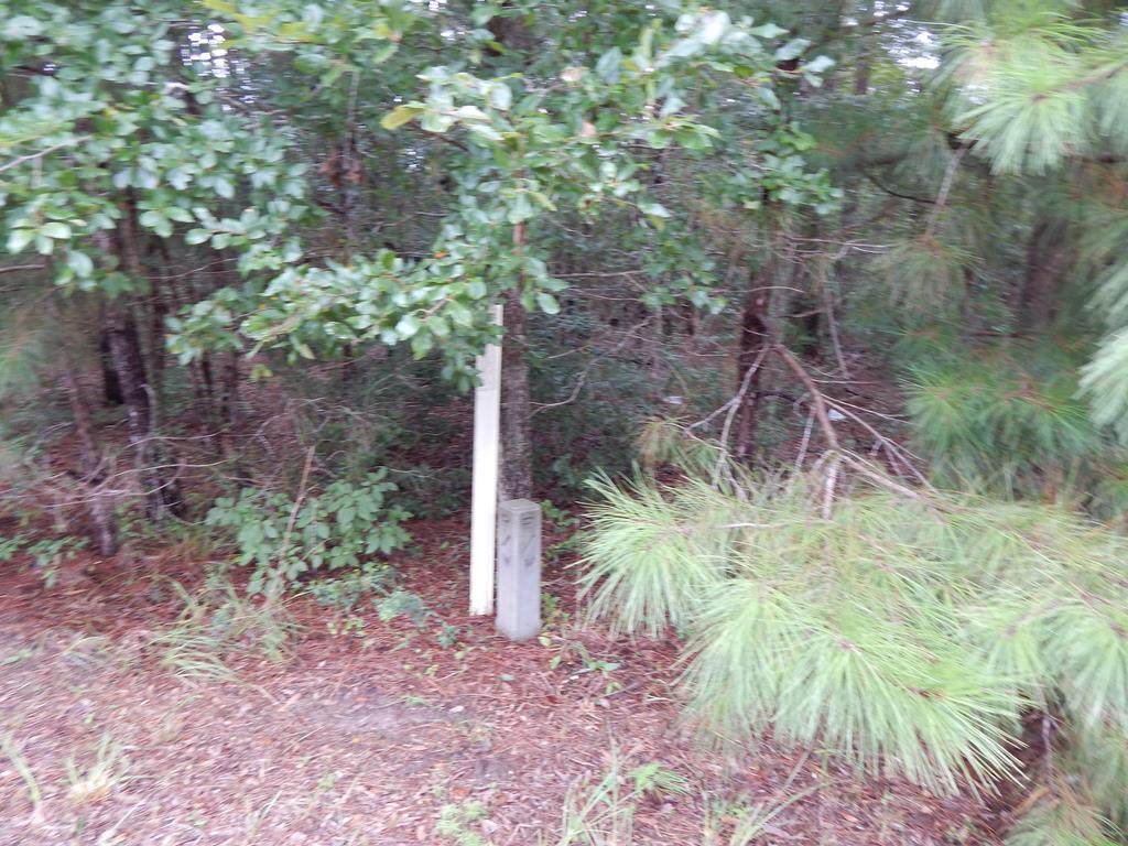 0000 Leroy Coffer Highway - Photo 1