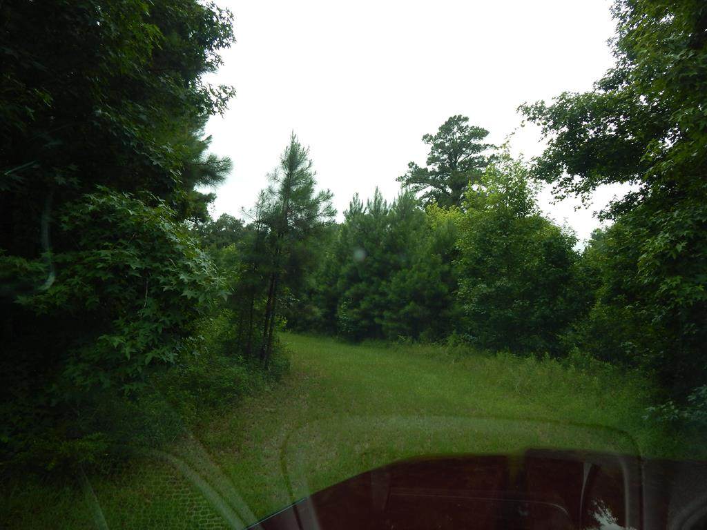 lot 9 Shade Tree Drive - Photo 1