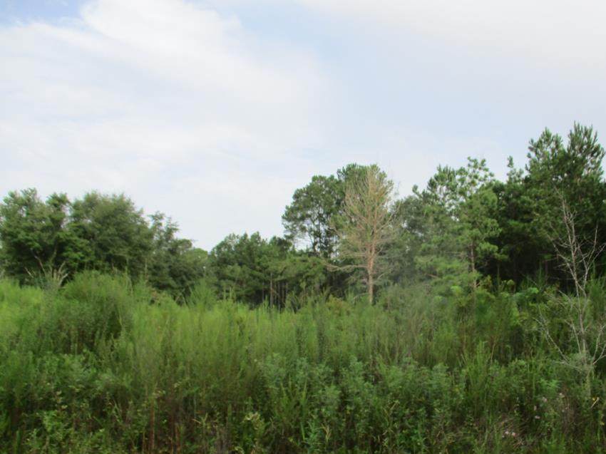 29 Cooper Lane - Photo 1