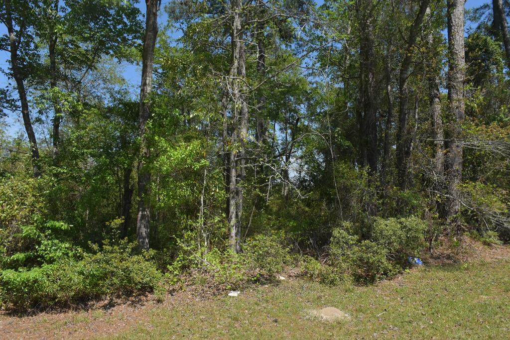000 Highway 57 - Photo 1