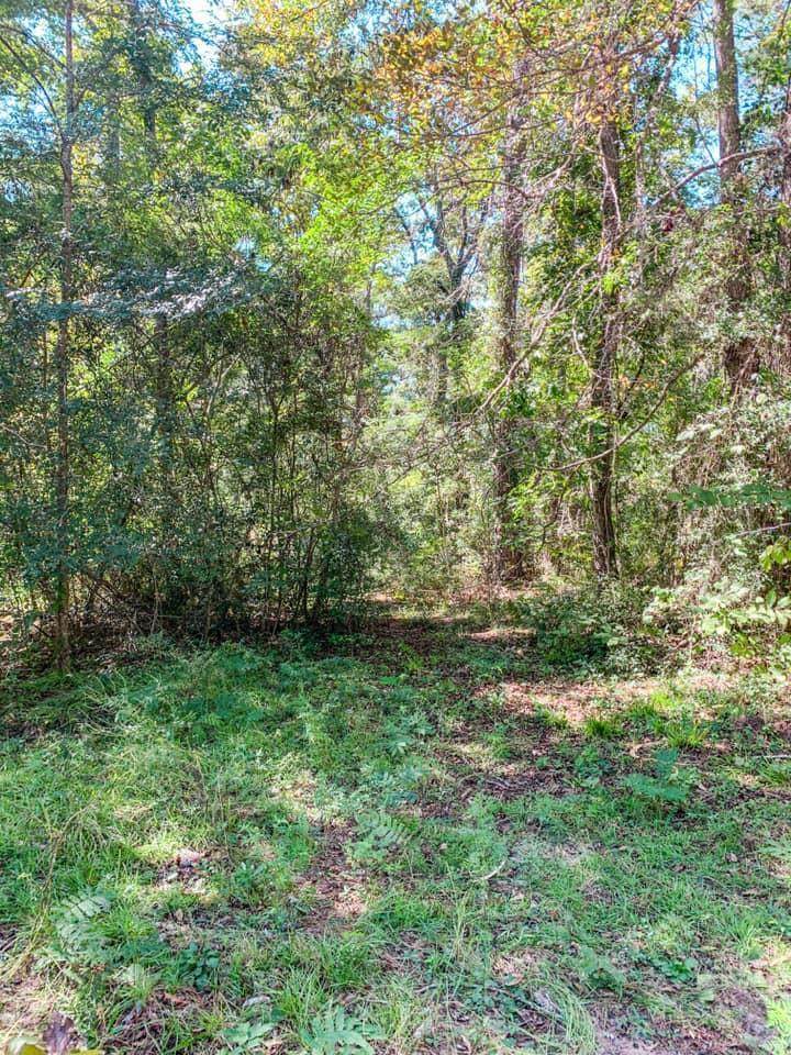 0 Cherokee Lake Road - Photo 1