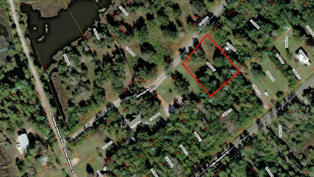 Lot 31 Bermuda Bluff Lane - Photo 1