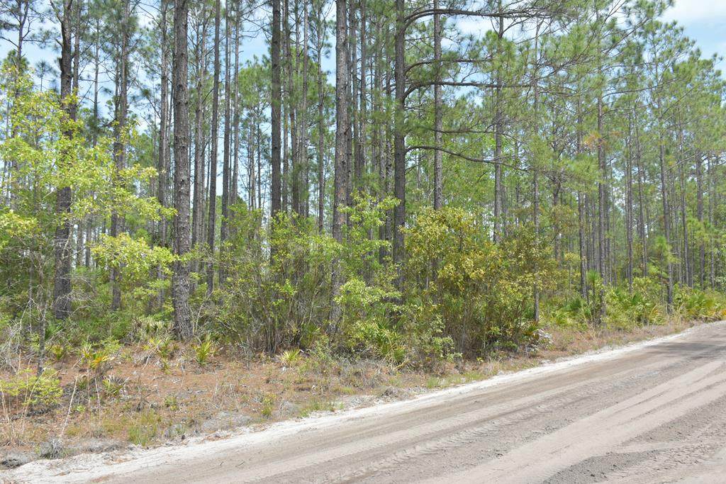 Lot 3 Peewee Road Se - Photo 1