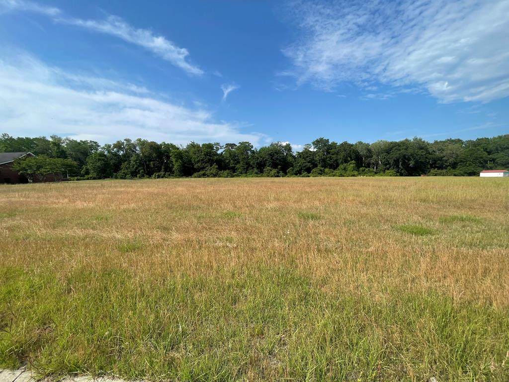Lot 5 Bermuda Drive - Photo 1