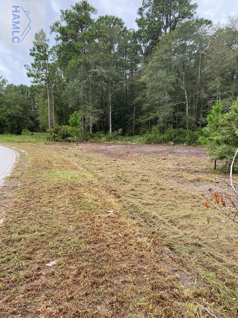 0 Peachtree Drive - Photo 1