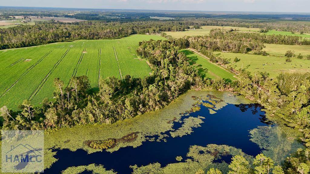 0 Rhonda Coleman Road - Photo 1