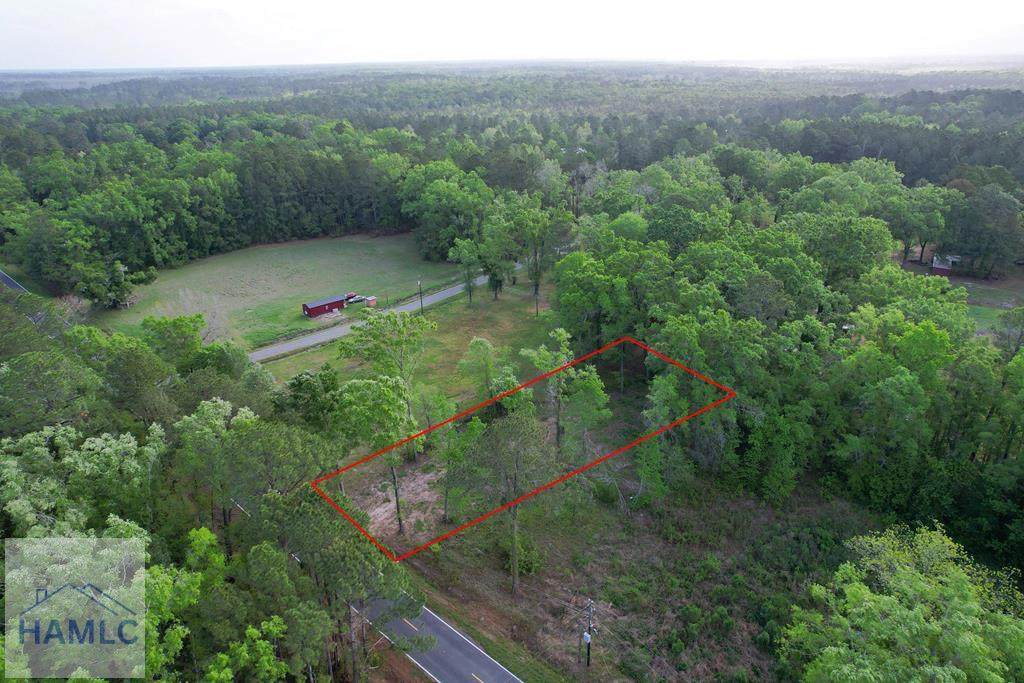 402 Altamaha Park Road - Photo 1