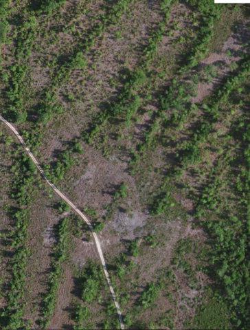 0 Highway 196 East - Photo 1