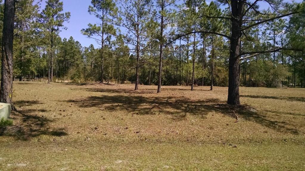 0 S Lake Drive - Photo 1