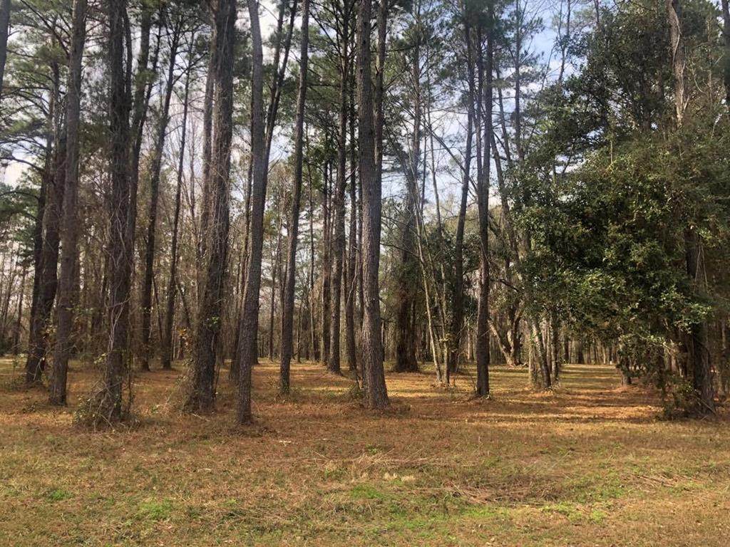 Lot 12 Black Cypress Drive - Photo 1