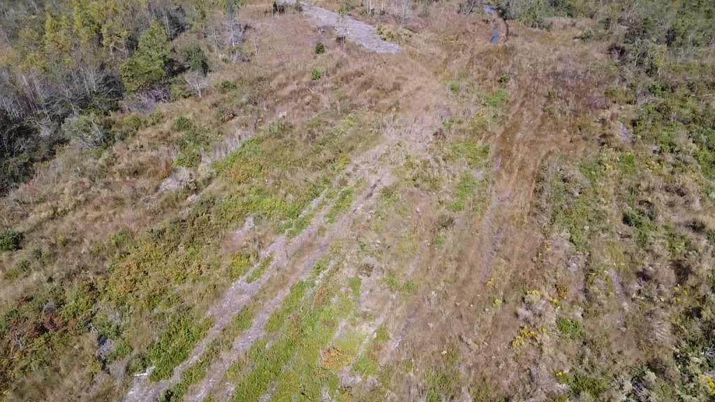 Lot 4 Trystan Lane Ne - Photo 1