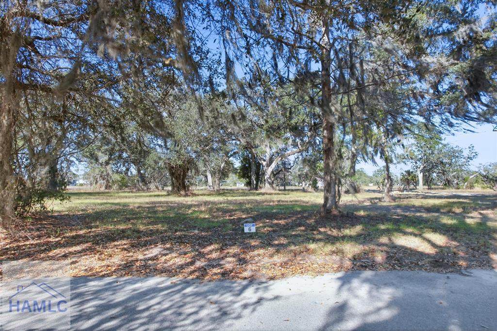 Lot 6 Bermuda Bluff Lane - Photo 1