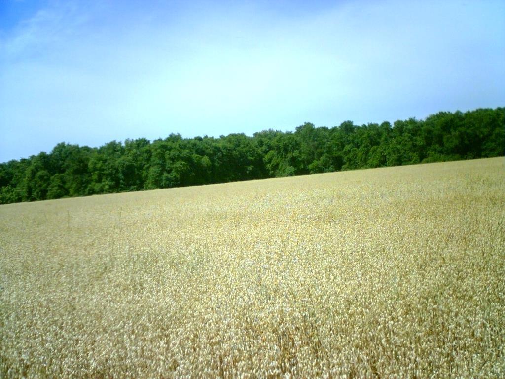 0000 Davis Road - Photo 1