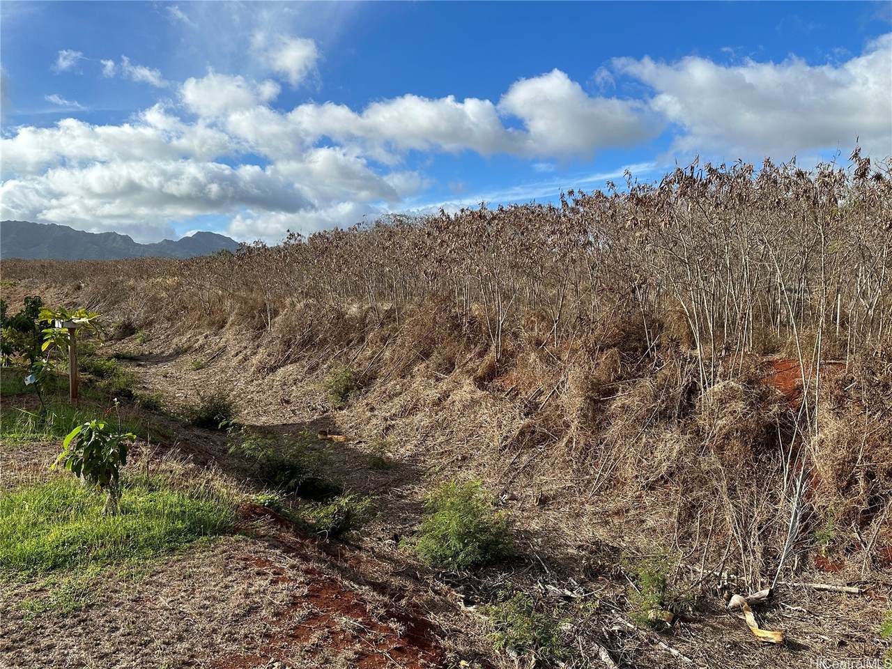 https://bt-photos.global.ssl.fastly.net/honolulu/1280_boomver_1_202513409-2.jpg