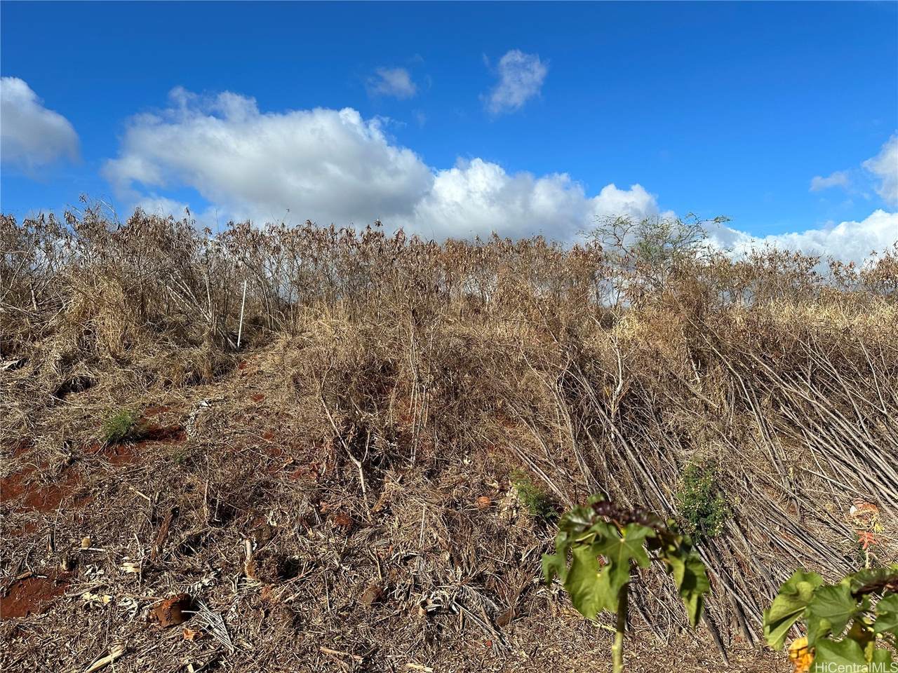 https://bt-photos.global.ssl.fastly.net/honolulu/1280_boomver_1_202513409-2.jpg