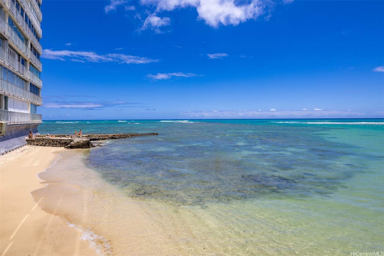 2801 Coconut Avenue - Photo 1