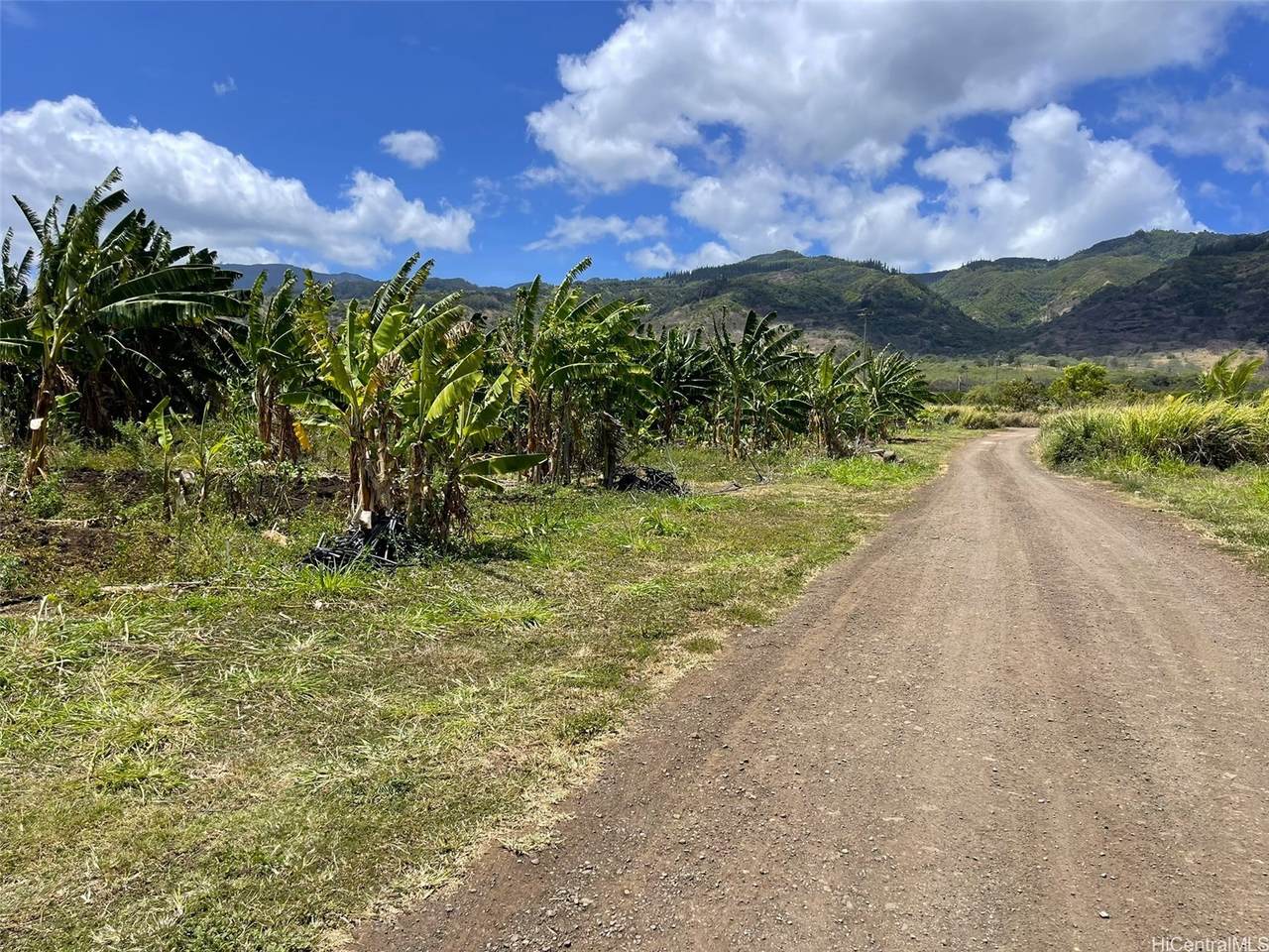 https://bt-photos.global.ssl.fastly.net/honolulu/orig_boomver_1_202524215-2.jpg