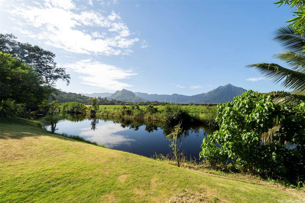 221 Kihapai Street - Photo 1