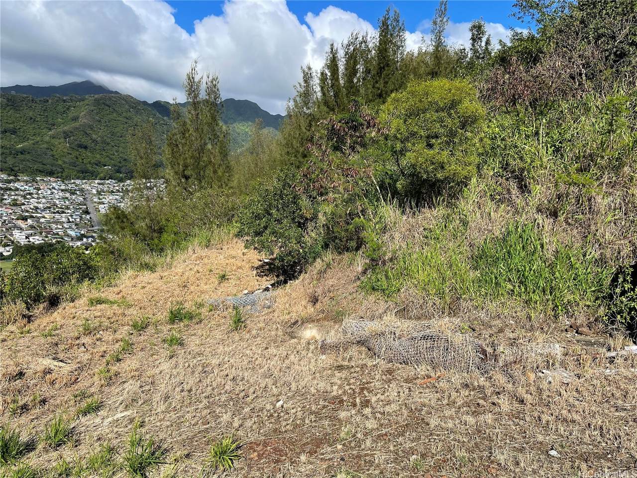 4730 Halehoola Place - Photo 1