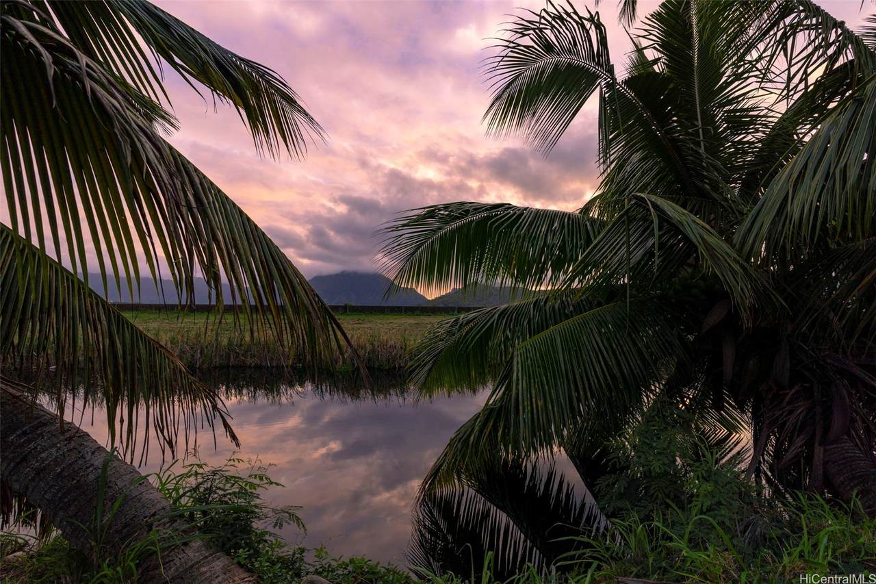 https://bt-photos.global.ssl.fastly.net/honolulu/1280_boomver_1_202600730-2.jpg