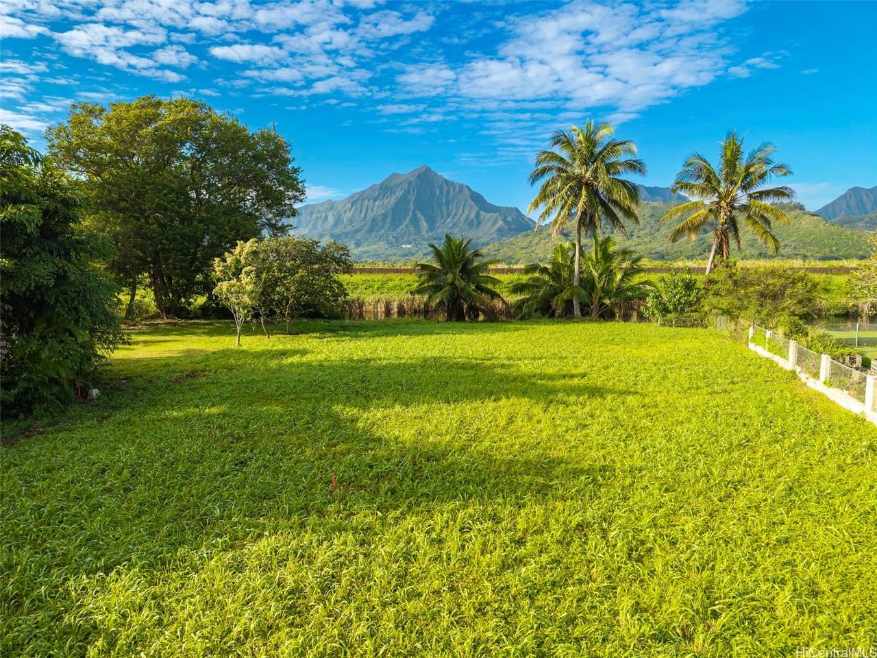 https://bt-photos.global.ssl.fastly.net/honolulu/1280_boomver_1_202600730-2.jpg