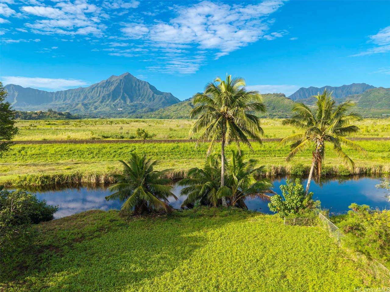 https://bt-photos.global.ssl.fastly.net/honolulu/1280_boomver_1_202600742-2.jpg