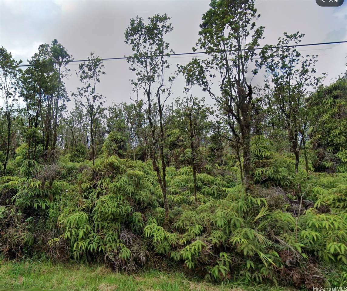 0 Ohia Avenue - Photo 1