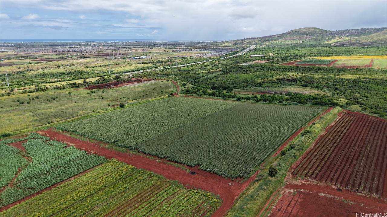 https://bt-photos.global.ssl.fastly.net/honolulu/1280_boomver_1_202609652-2.jpg