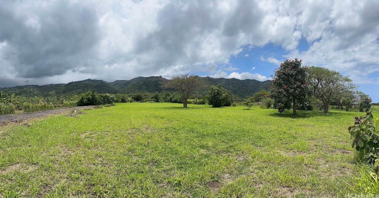 https://bt-photos.global.ssl.fastly.net/honolulu/1280_boomver_1_202611221-2.jpg