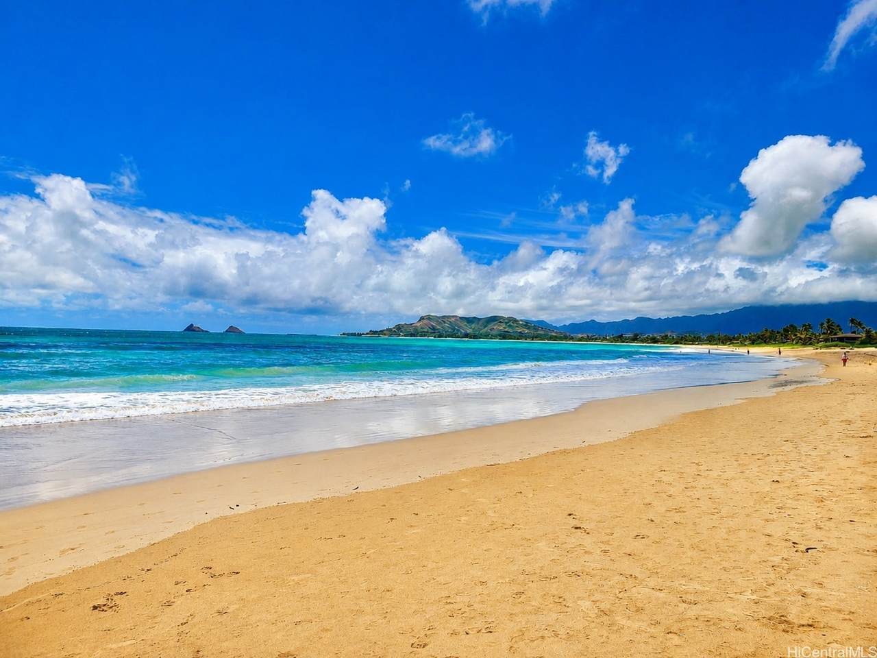 https://bt-photos.global.ssl.fastly.net/honolulu/1280_boomver_1_202612669-2.jpg