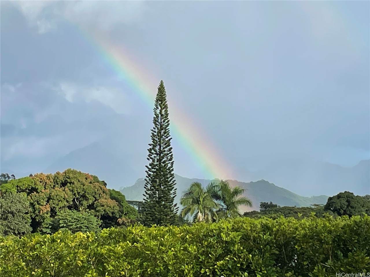 https://bt-photos.global.ssl.fastly.net/honolulu/1280_boomver_1_202614750-2.jpg
