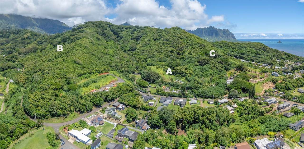 https://bt-photos.global.ssl.fastly.net/honolulu/orig_boomver_1_202615892-2.jpg