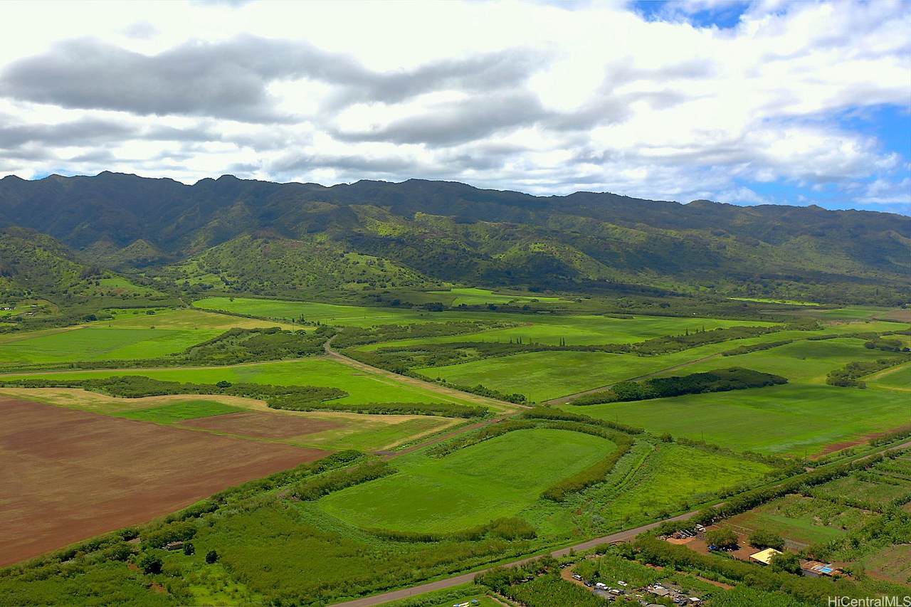 https://bt-photos.global.ssl.fastly.net/honolulu/orig_boomver_1_202616585-2.jpg