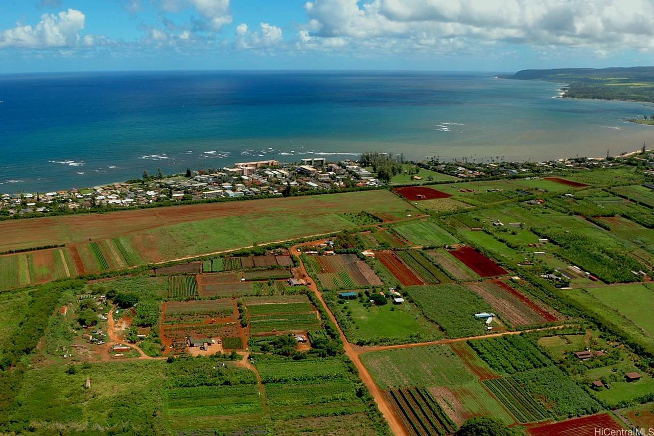 https://bt-photos.global.ssl.fastly.net/honolulu/orig_boomver_1_202616585-2.jpg